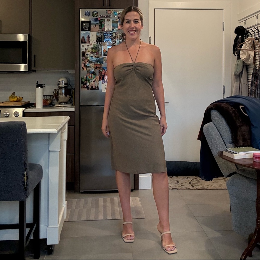 Theory Brown Dress